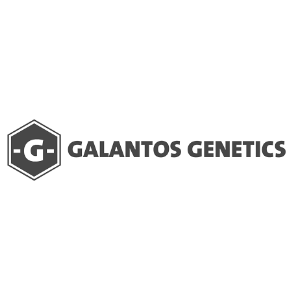 Galantos